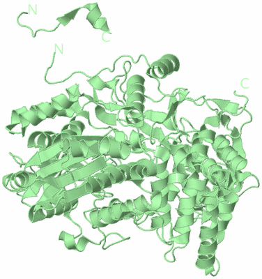 Image Biological Unit 2