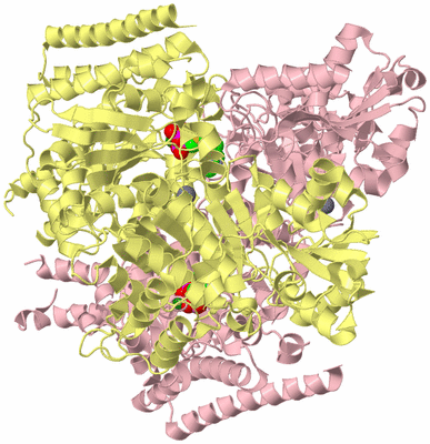 Image Biological Unit 2