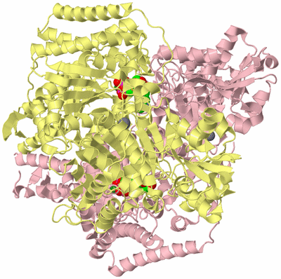 Image Biological Unit 2