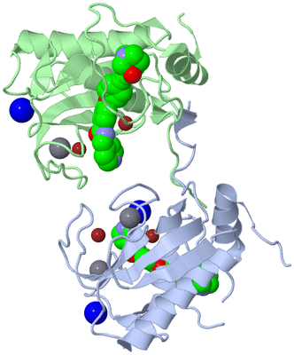 Image Asym./Biol. Unit