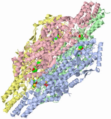 Image Asym./Biol. Unit