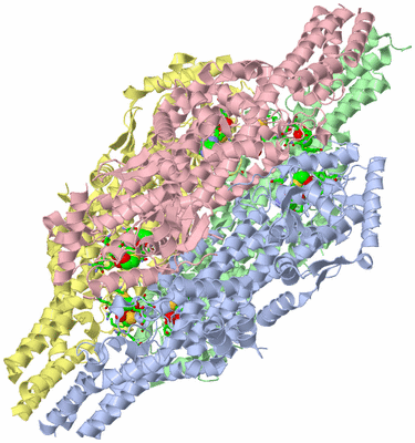 Image Asym./Biol. Unit - sites