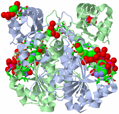 Image Biol. Unit 1 - sites