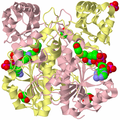 Image Biological Unit 2