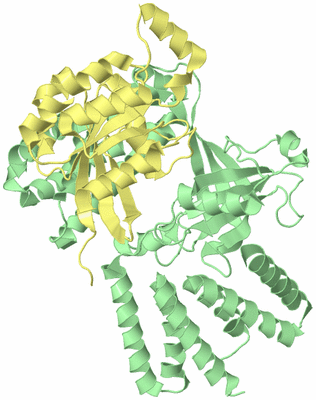 Image Biological Unit 1