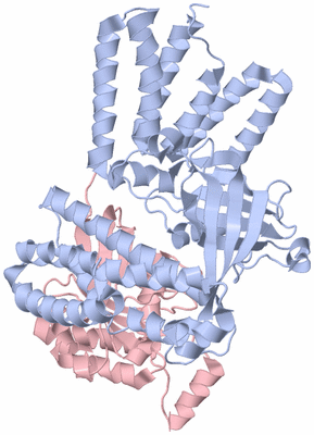 Image Biological Unit 2