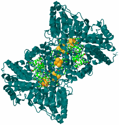 Image Biol. Unit 1 - sites