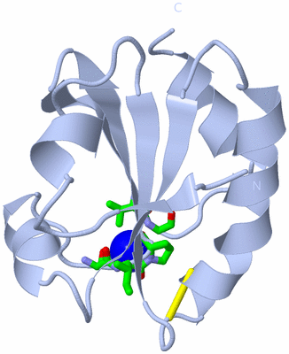 Image Biol. Unit 1 - sites