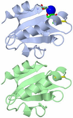 Image Asym. Unit - sites