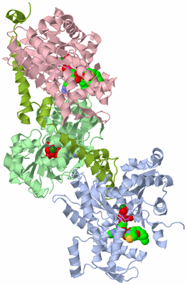 Image Biological Unit 1