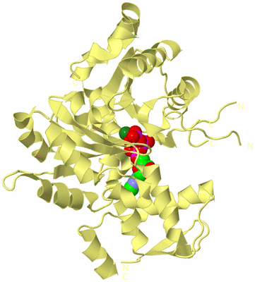 Image Biological Unit 2