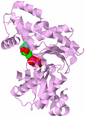 Image Biological Unit 3