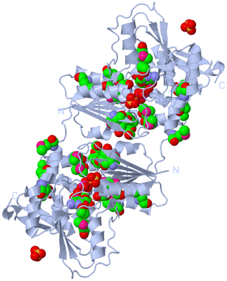 Image Biological Unit 1