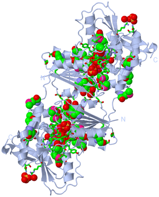 Image Biol. Unit 1 - sites