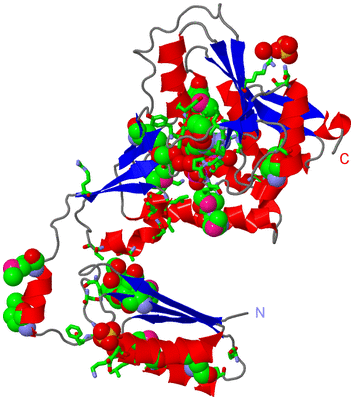 Image Asym. Unit - sites