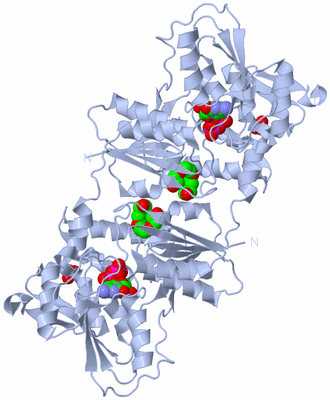 Image Biological Unit 1