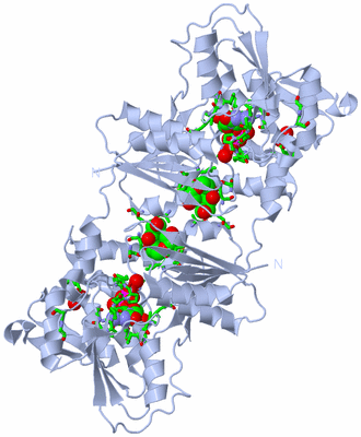 Image Biol. Unit 1 - sites