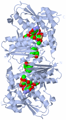 Image Biological Unit 1