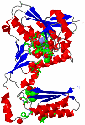 Image Asym. Unit - sites