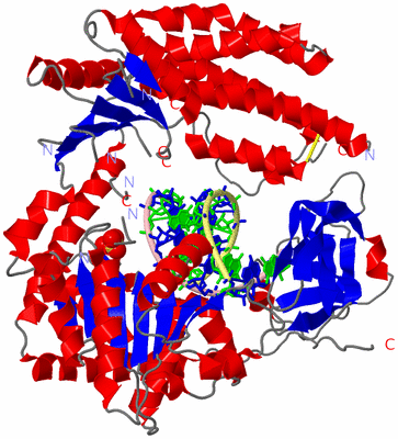 Image Asym./Biol. Unit