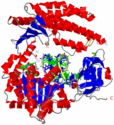 Image Asym./Biol. Unit - sites