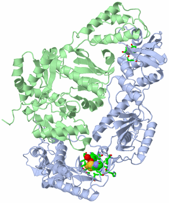 Image Biol. Unit 1 - sites