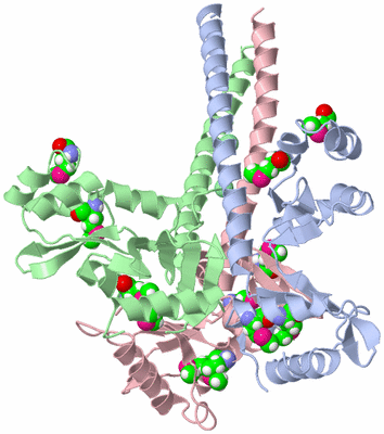 Image Asym./Biol. Unit