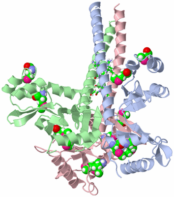 Image Asym./Biol. Unit - sites