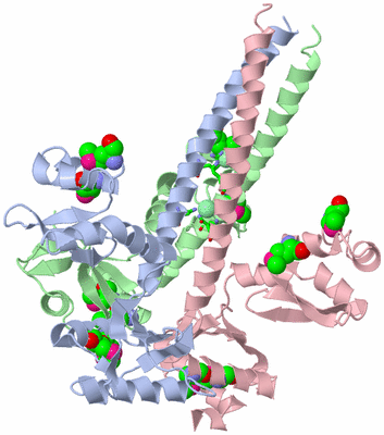 Image Asym./Biol. Unit - sites