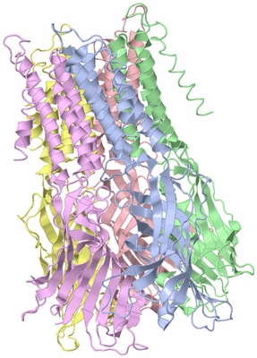 Image Biological Unit 1