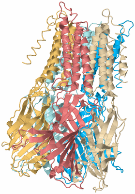 Image Biological Unit 2