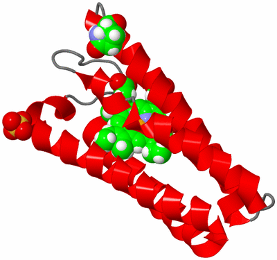 Image Asymmetric Unit