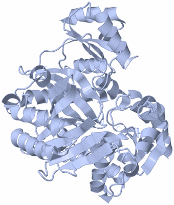 Image Biological Unit 1