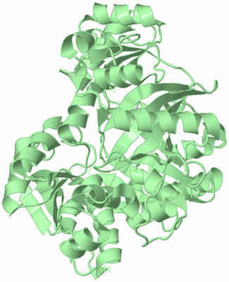 Image Biological Unit 2