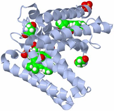 Image Biological Unit 1