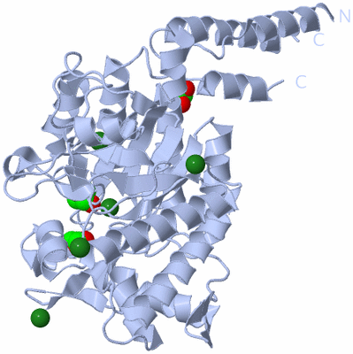 Image Biological Unit 1