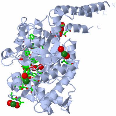 Image Biol. Unit 1 - sites