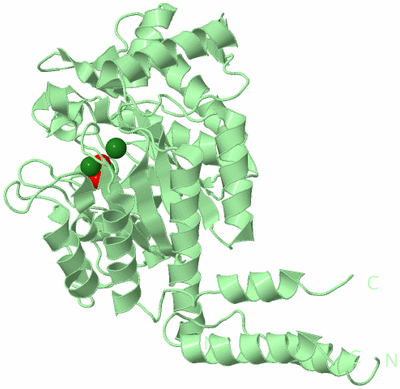 Image Biological Unit 2