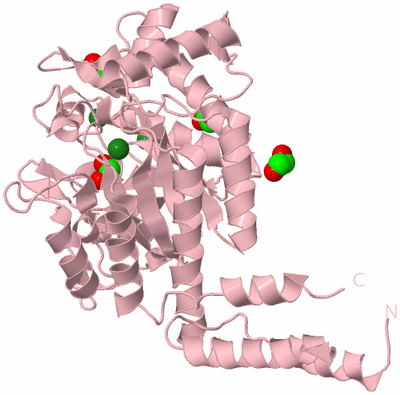 Image Biological Unit 3