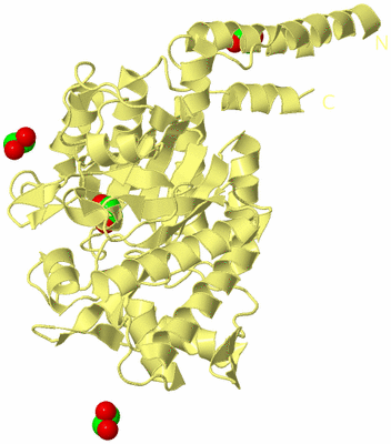 Image Biological Unit 4