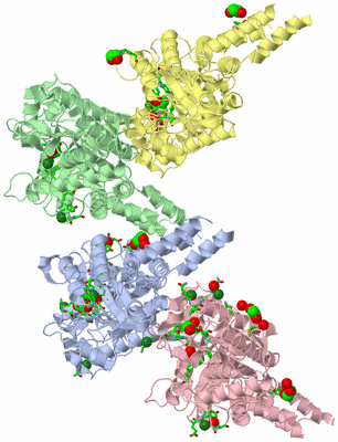 Image Asym. Unit - sites