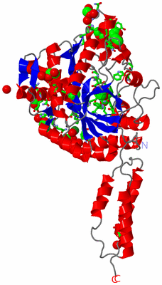 Image Asym./Biol. Unit - sites