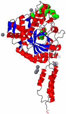 Image Asym./Biol. Unit