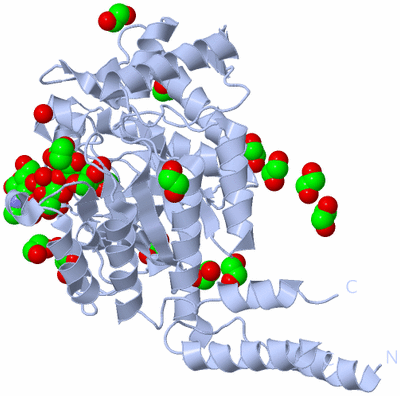 Image Biological Unit 1