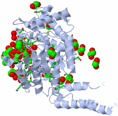 Image Biol. Unit 1 - sites