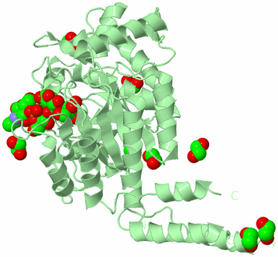 Image Biological Unit 2