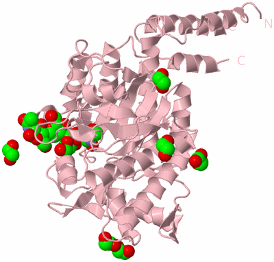 Image Biological Unit 3