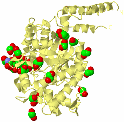 Image Biological Unit 4