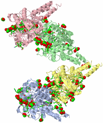 Image Asym. Unit - sites