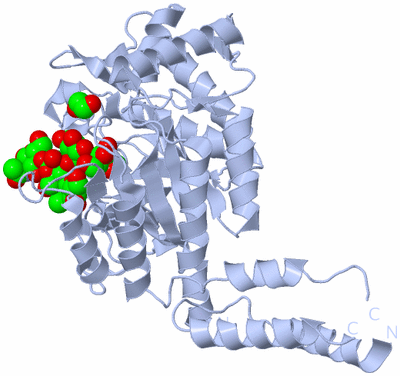 Image Biological Unit 1